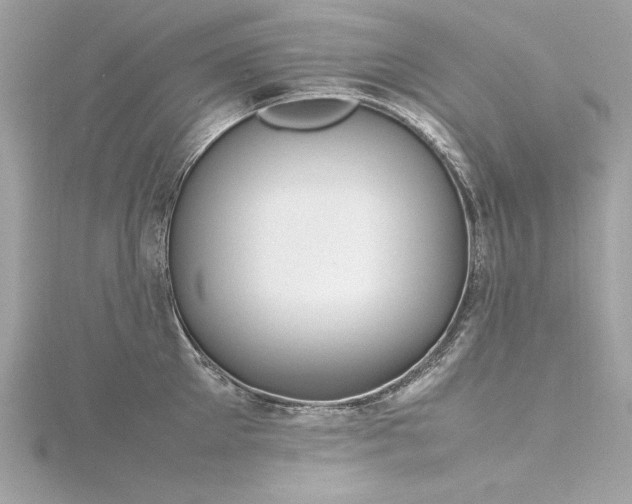 X0000116350905200912011408