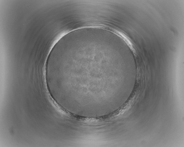 X0000116350907200912011408