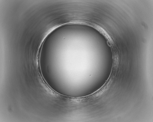 X0000116350908200912011408