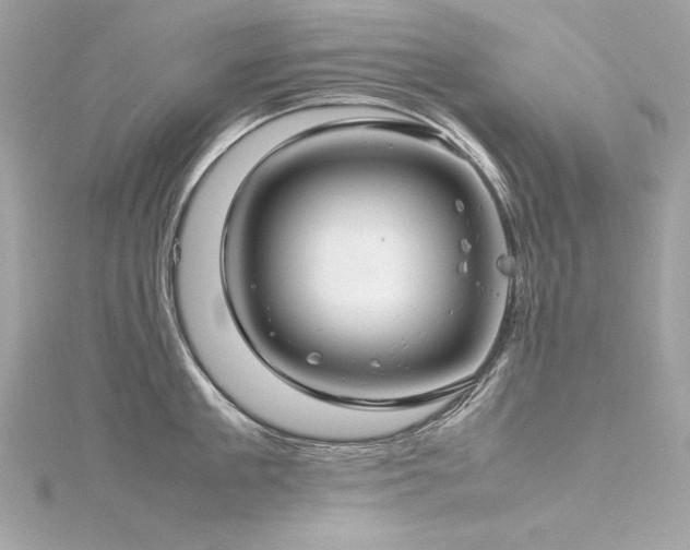 X0000116350909200912011408