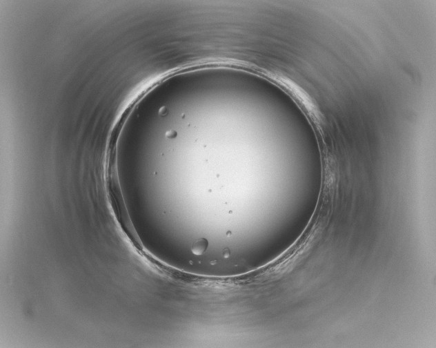 X0000116350910200912011408