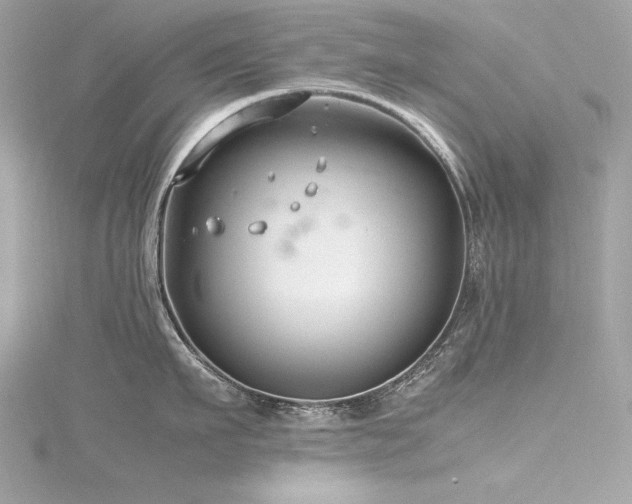 X0000116350911200912011408