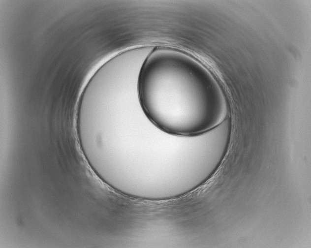 X0000116350912200912011408