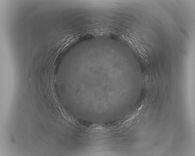 X0000116350913200912011407