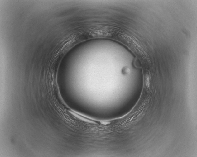 X0000116350915200912011407