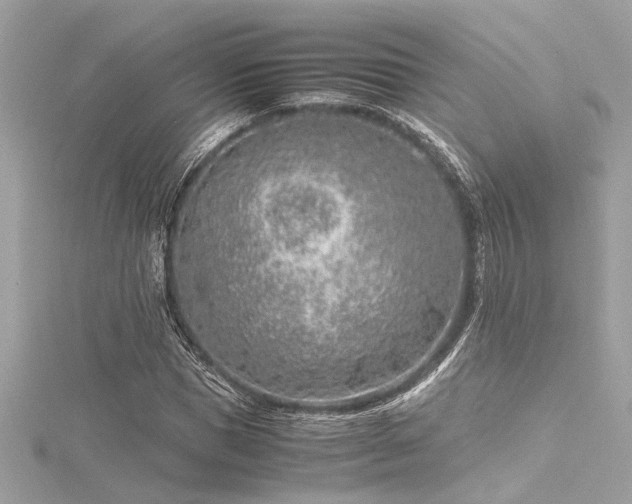 X0000116350921200912011407