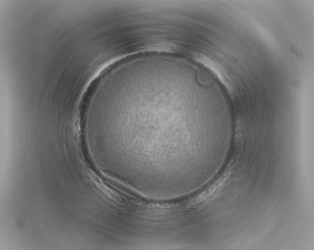 X0000116350923200912011407