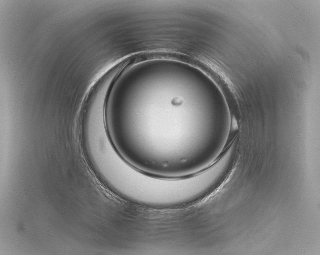 X0000116350925200912011407