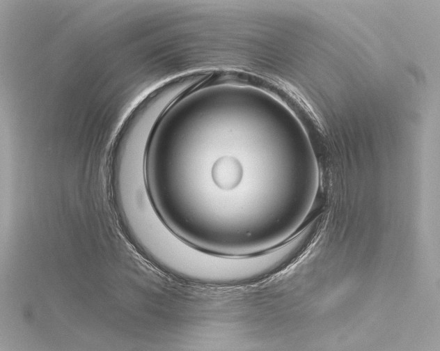 X0000116350926200912011407