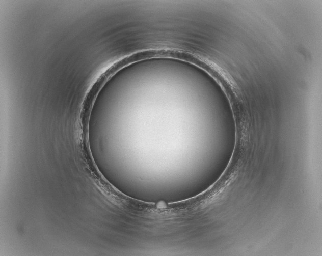 X0000116350927200912011407