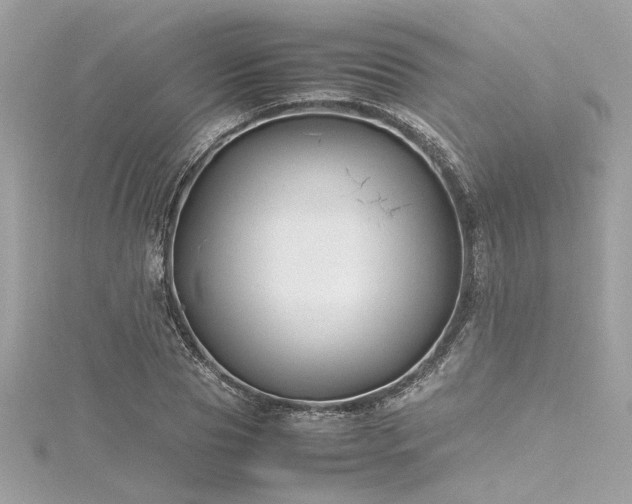 X0000116350929200912011407