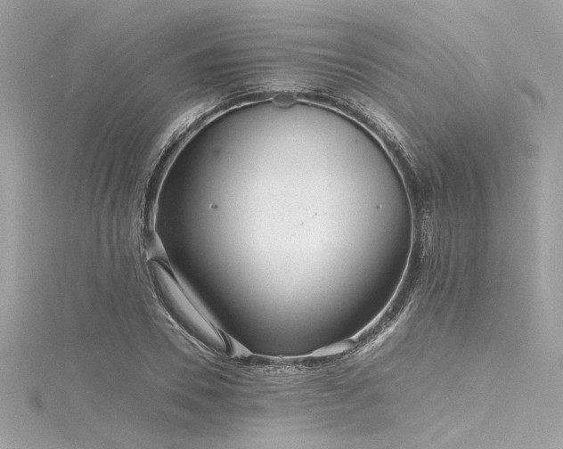 X0000116350930200912011407