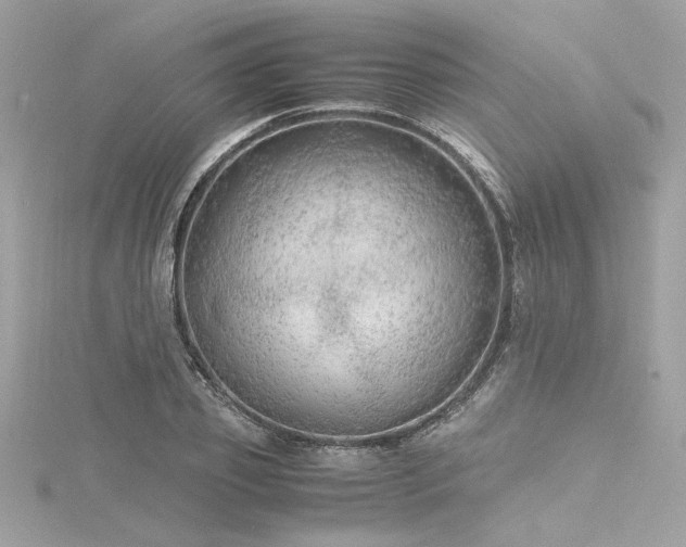 X0000116350933200912011407