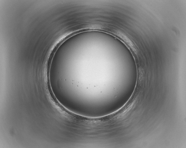 X0000116350939200912011408