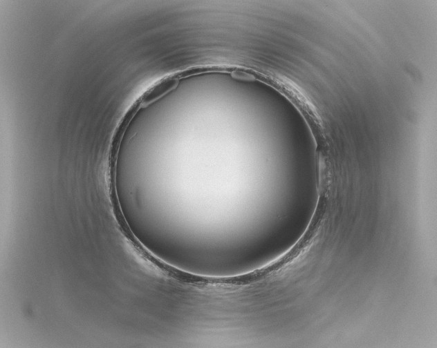 X0000116350942200912011408