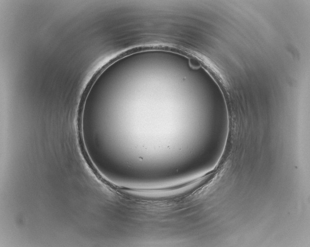 X0000116350943200912011408