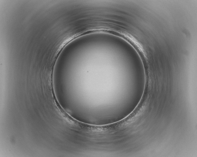 X0000116350945200912011408