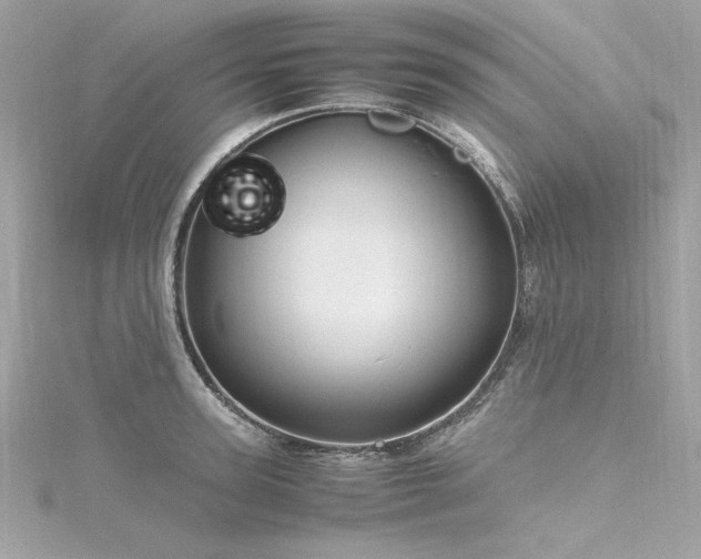 X0000116350947200912011408