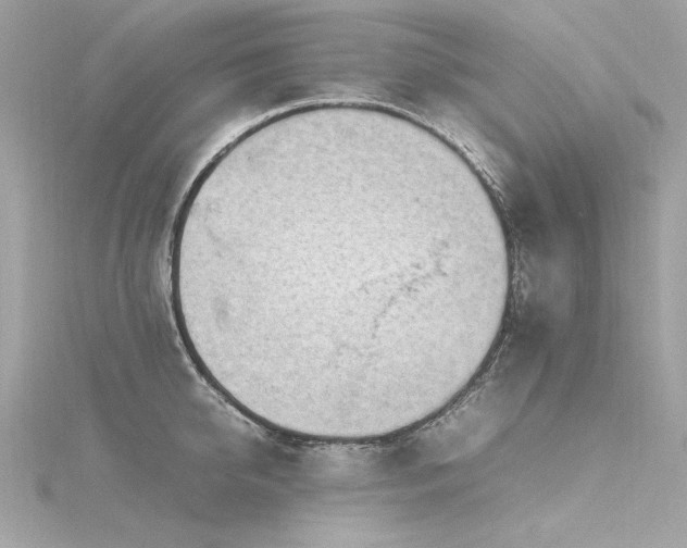 X0000116350950200912011408