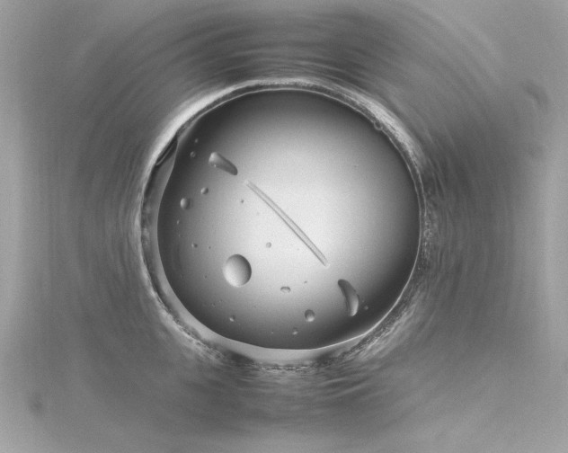 X0000116350951200912011408