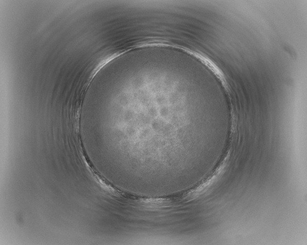 X0000116350953200912011408