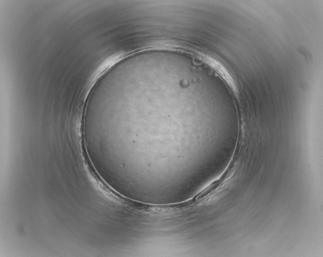 X0000116350954200912011408