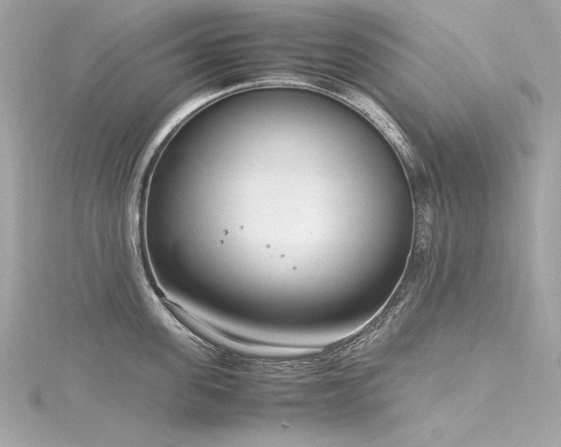 X0000116350955200912011408