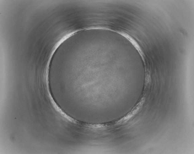 X0000116350957200912011408