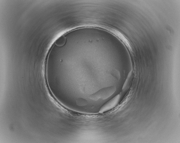 X0000116350958200912011408