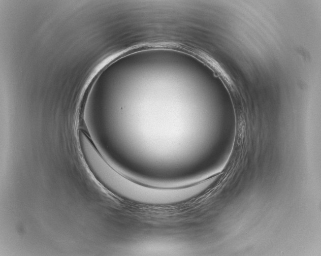 X0000116350959200912011408