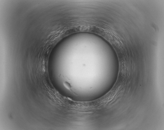 X0000116350962200912011407