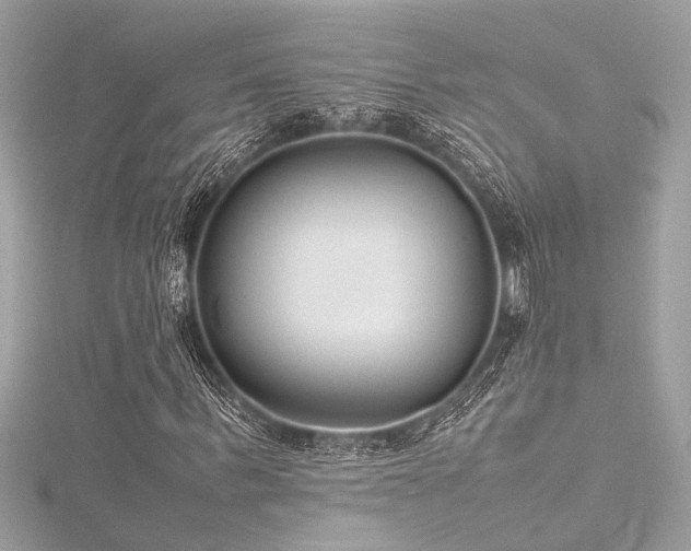 X0000116350963200912011407