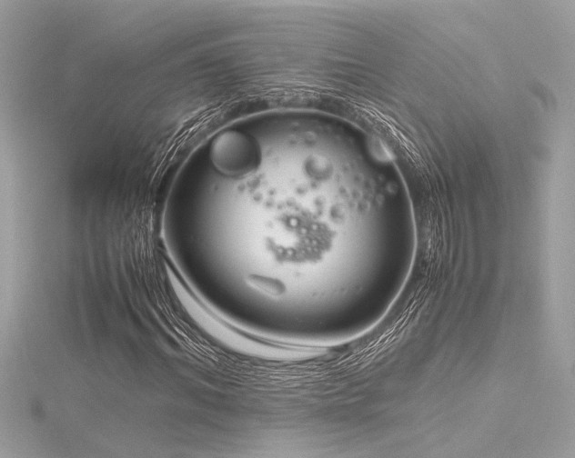 X0000116350964200912011407