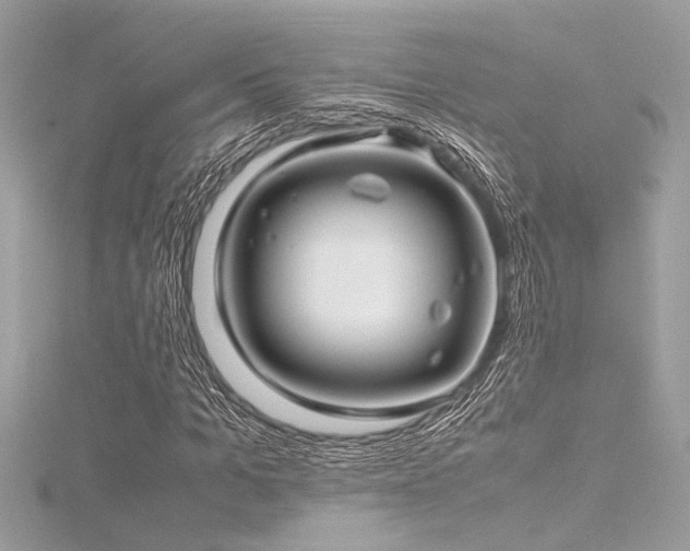 X0000116350965200912011407