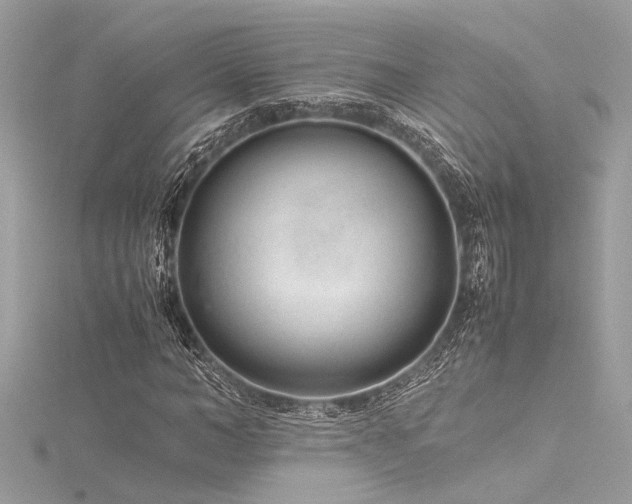 X0000116350966200912011407