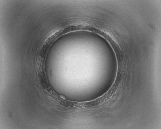 X0000116350967200912011407