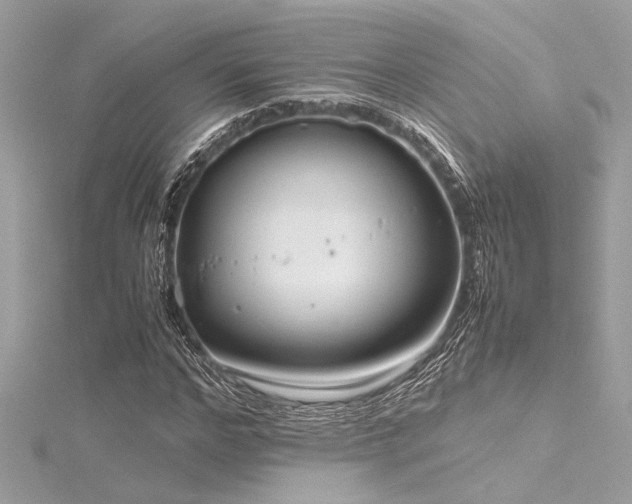 X0000116350968200912011407