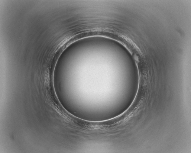 X0000116350969200912011407