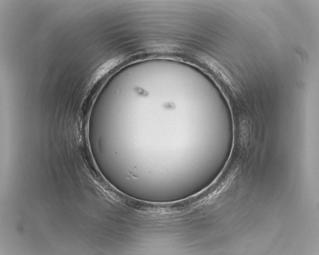 X0000116350970200912011407