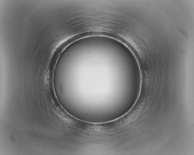 X0000116350971200912011407