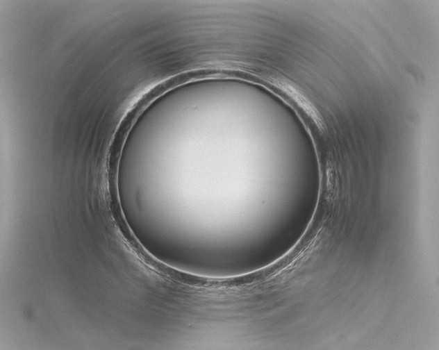 X0000116350972200912011407