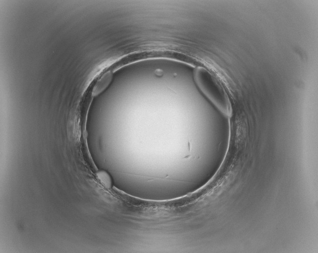 X0000116350973200912011407