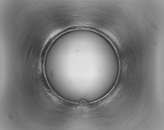 X0000116350974200912011407