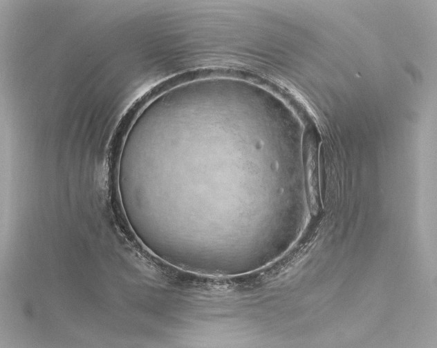 X0000116350975200912011407