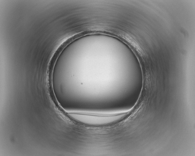 X0000116350976200912011407