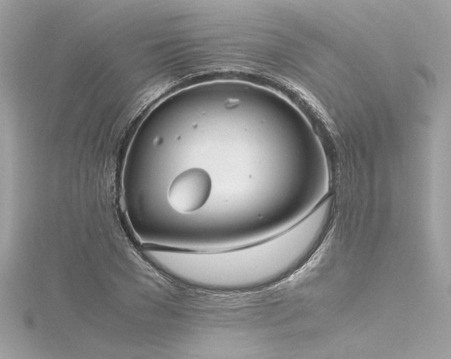 X0000116350977200912011407