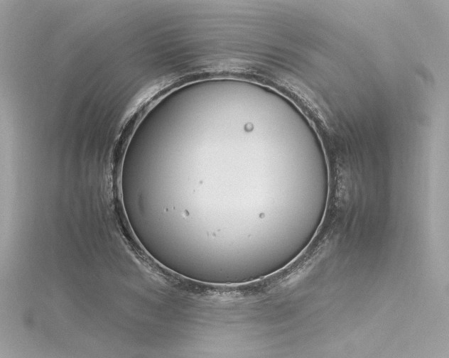 X0000116350978200912011407