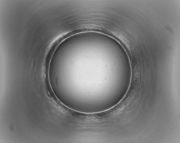 X0000116350979200912011407