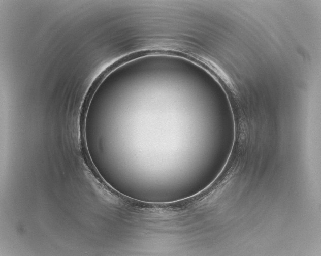 X0000116350980200912011407