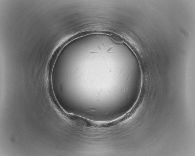 X0000116350981200912011407